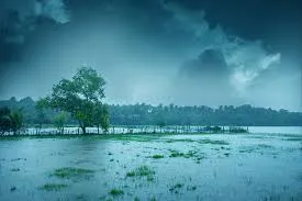 Monsoon lush greenery in Kerala